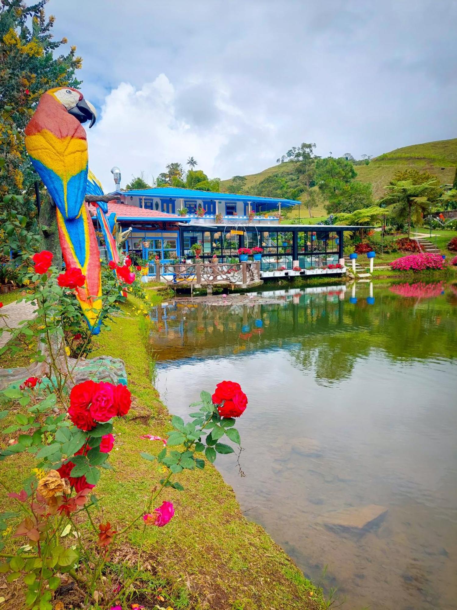 Hotel Lago Valdivia Jardín Kültér fotó